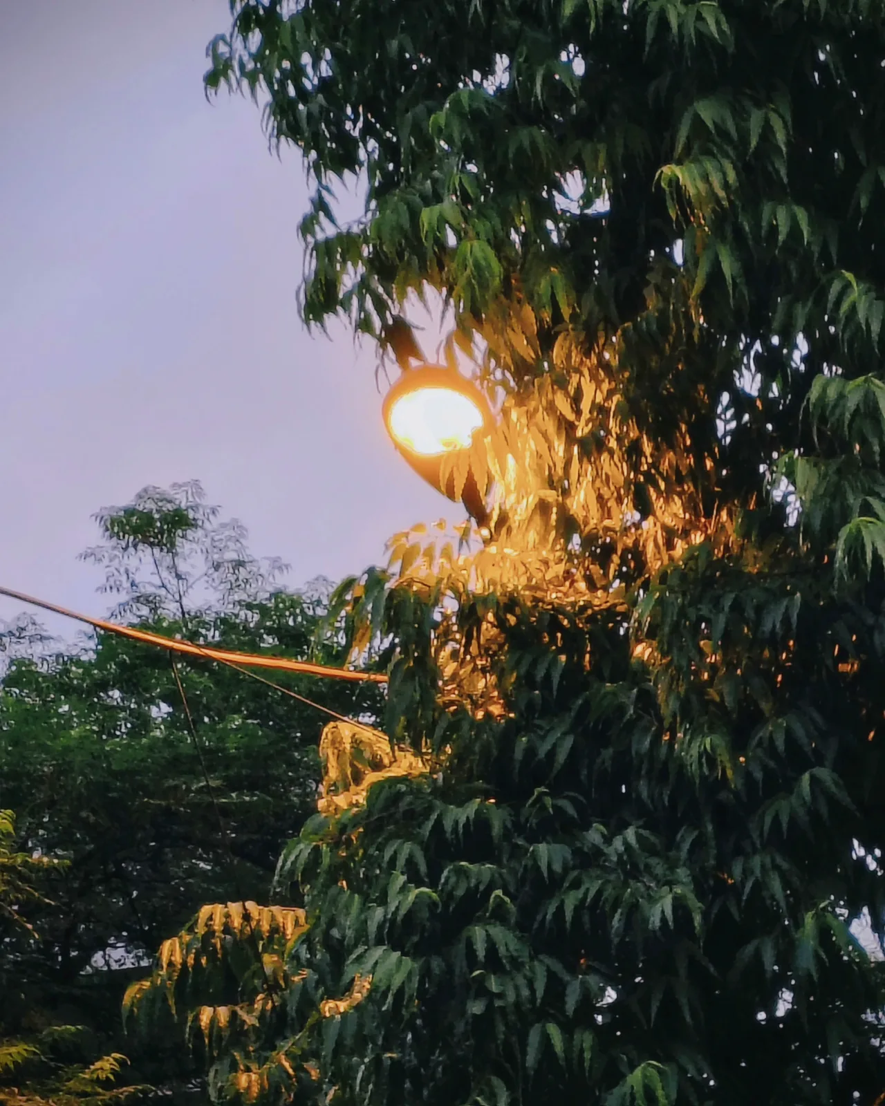 holy aesthetic